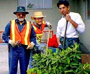 Landscaping Your Property