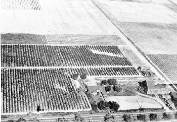 Mort farm, ca. 1977.