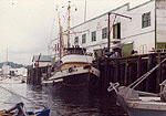 Atlin Plant - Thumbnail Photograph