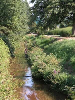 Bath Slough