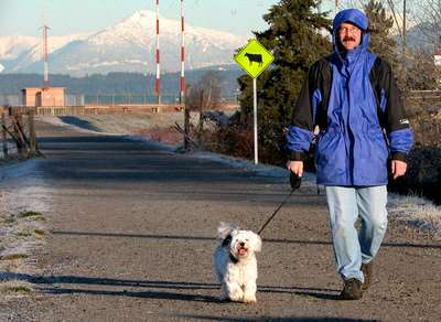 Dogs on Trails