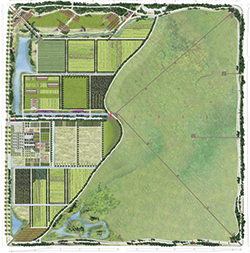 GCL Development Plan