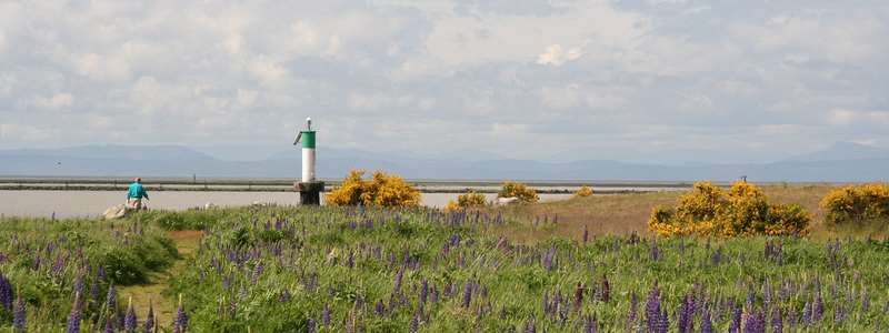 Garry Point