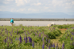 Garry Point Park