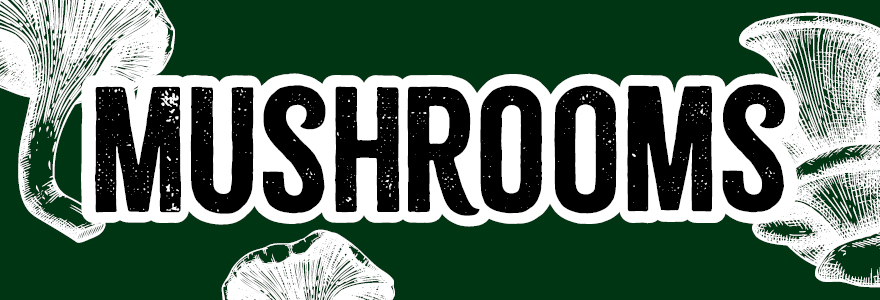 Hero banner - Mushrooms