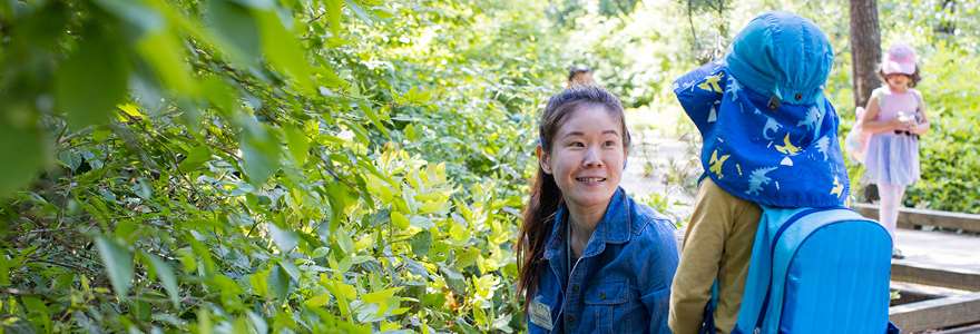 Hero banner - Parks Programs