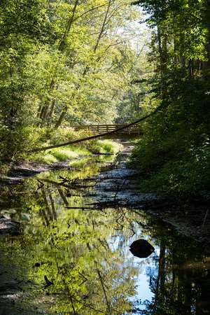 Horseshoe Slough Trail