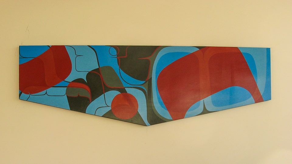 Authentic Aboriginal, Sonny Assu