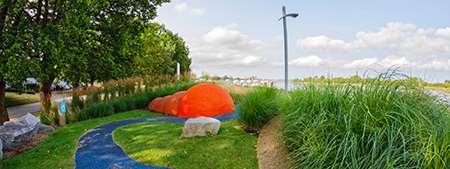 Inclusive Play - Middle Arm Greenway grasses