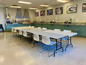 Lapidary-Studio
