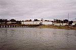 Masset Plant - Thumbnail Photograph