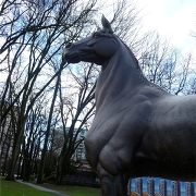 Minoru Horse, Sergei Traschenko