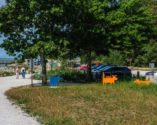 No. 3 Road Bark Park