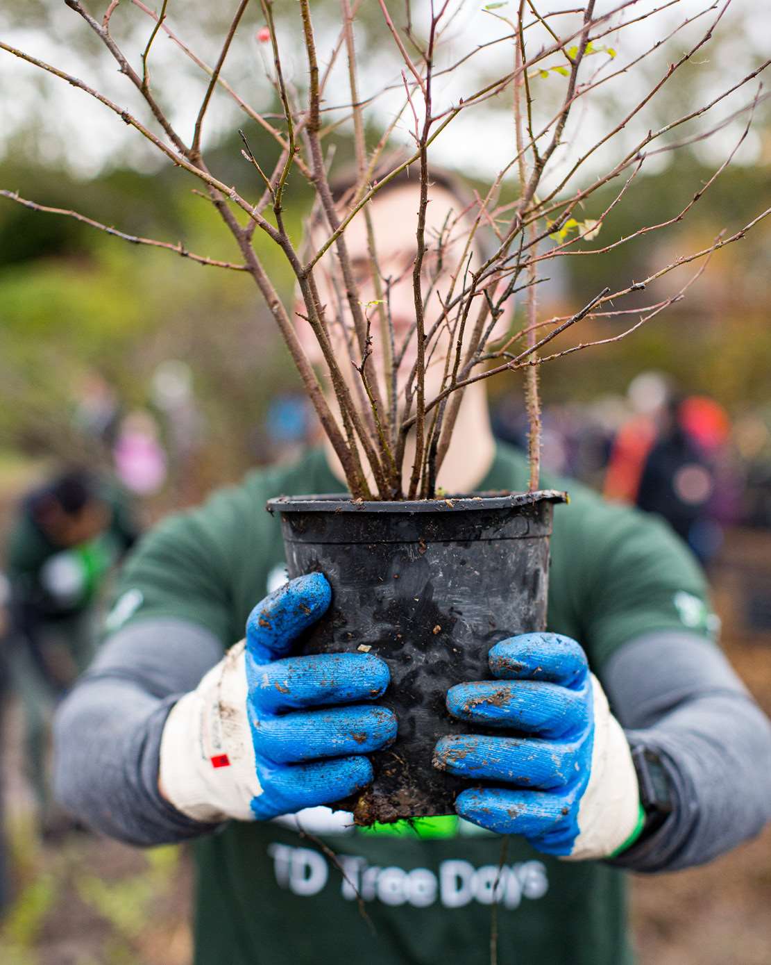 PFB Tree Planting 02