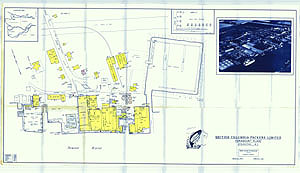 Paramount Plant - Thumbnail Map