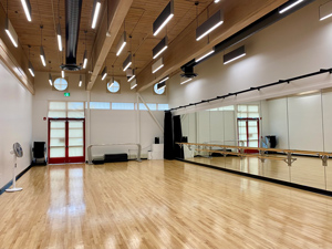 Performing-Arts-Studio-3