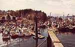 Seal Cove - Thumbnail Photograph