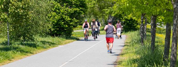Shared Pathways