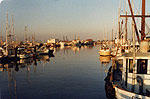 Steveston Harbour - Thumbnail Photograph