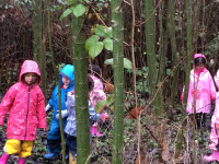 TCC Nature Preschool Photo 2