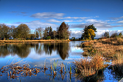 Terra Nova Rural Park