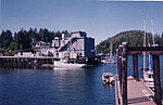 Tofino Camp - Thumbnail Photograph