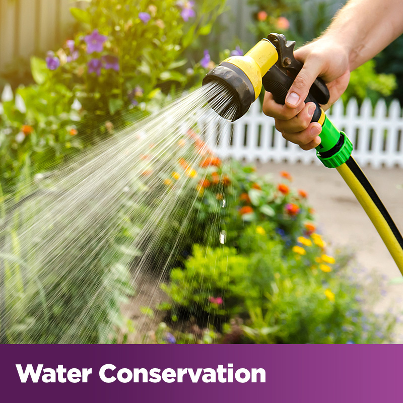 Water Conservation - close-up of watering a garden with a garden hose