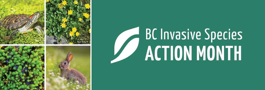 Invasive Species Action Month