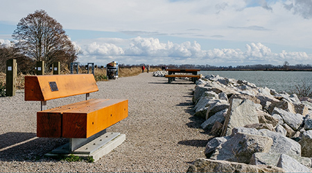 Park bench with view of the south dike and river.