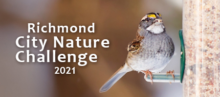 2021 Richmond City Nature Challenge