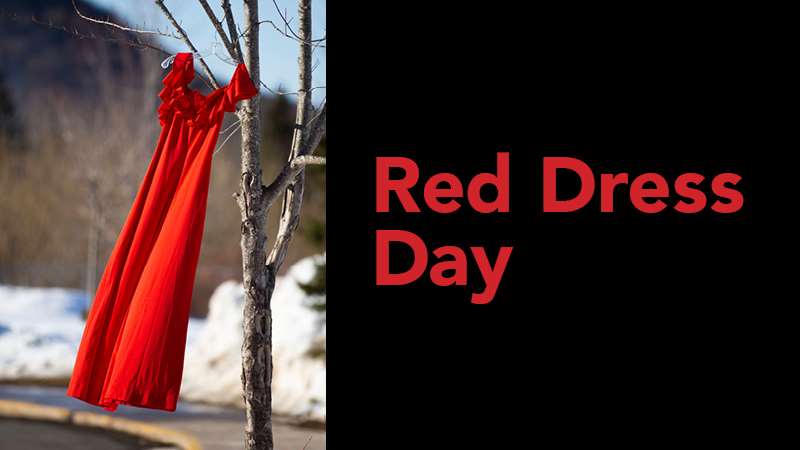 Red Dress floating in the wind hanging from a branch