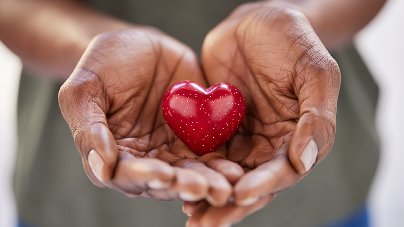 A pair of hands holding a red heart