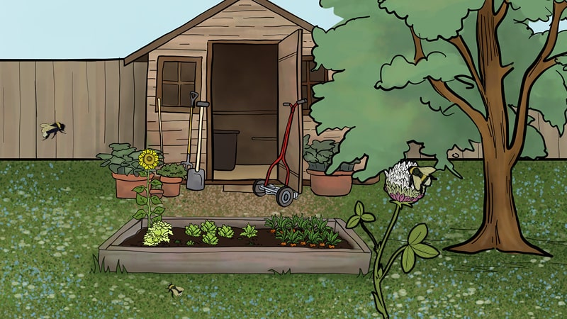 Infographic depicting biodiversity in a garden