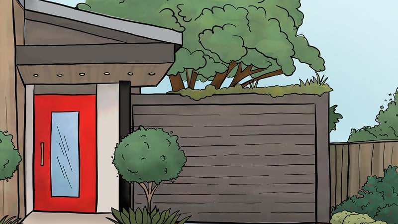 Infographic depicting green roof