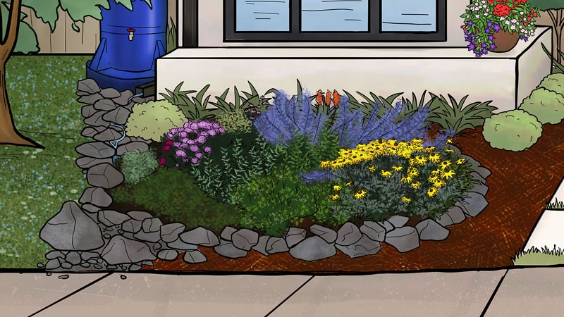 Infographic depicting creation of rain gardens