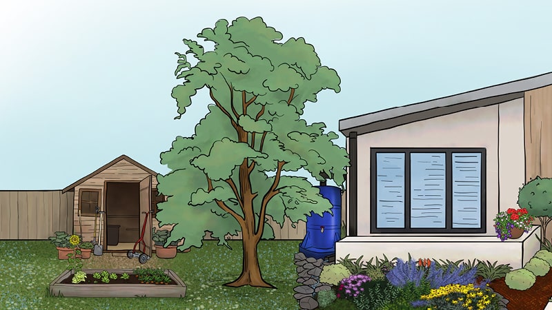 Infographic depicting shade from trees