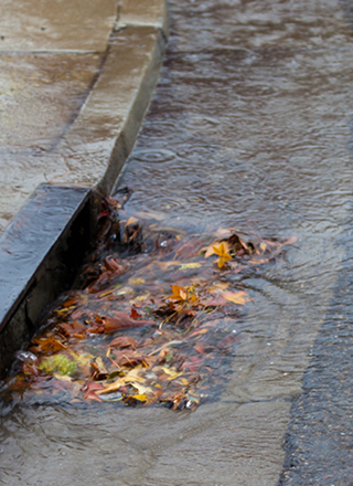 Rain water pooling at a catch basin partially blocked by leaves