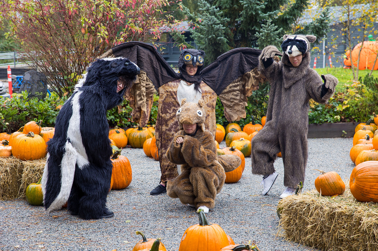 The Pumpkin Patch is again part of this year’s Halloween Hoot.