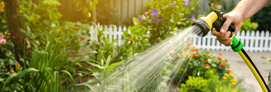 Close-up of watering a garden with a garden hose