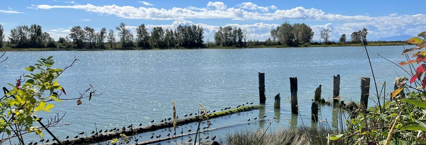 View of the water from Imperial Landing in Steveston; photo by Jenny Ho, City staff