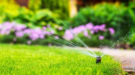 NR - 2024 - Lawn watering