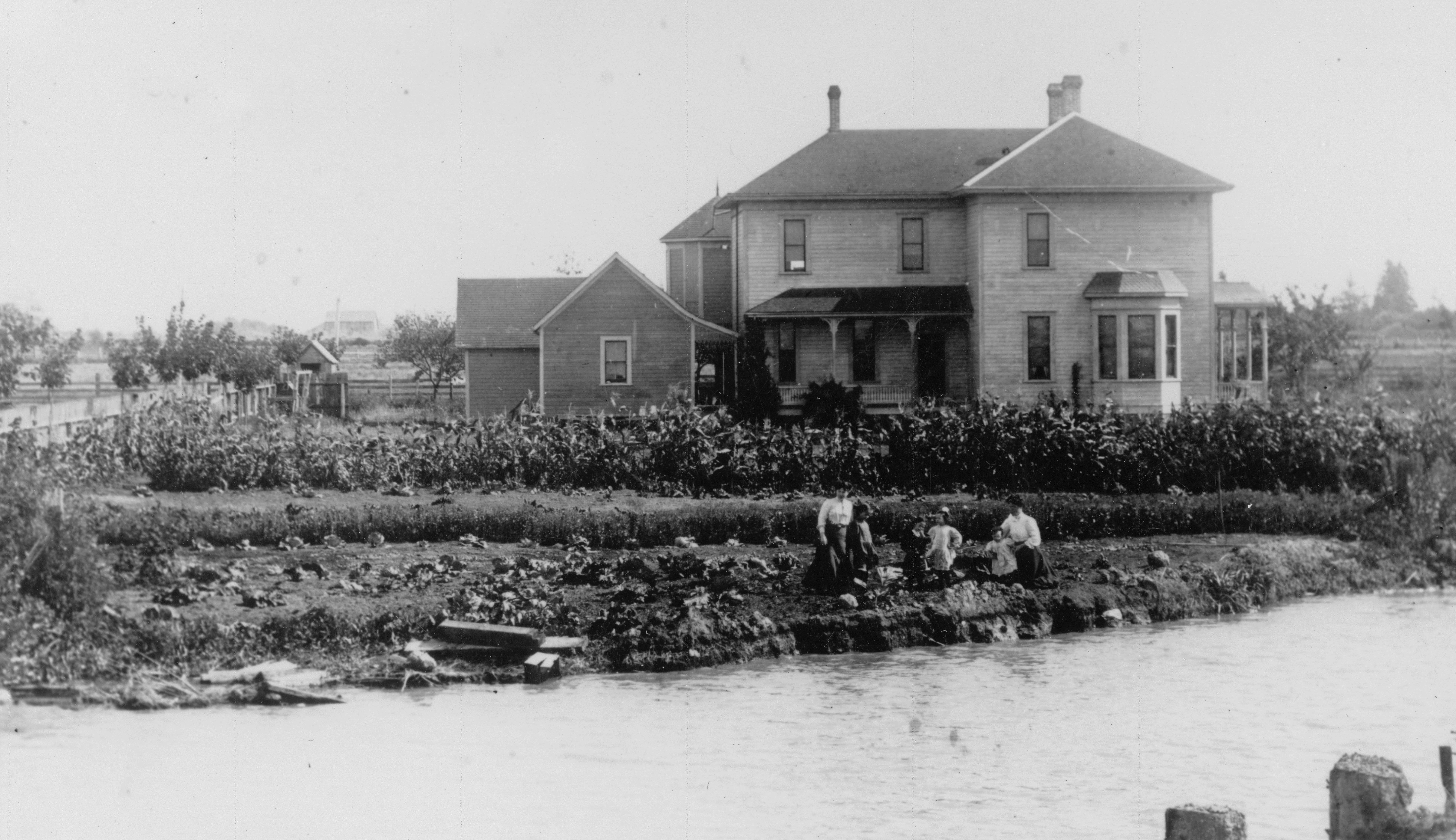 London Farm Archives Photograph Black and White 1984 17 74