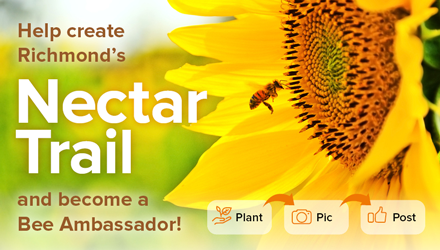 Be a bee ambassador!