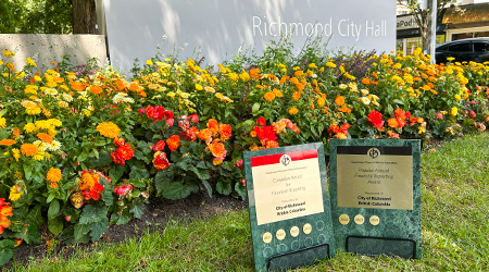 View of 2 Financial Awards outside City Hall