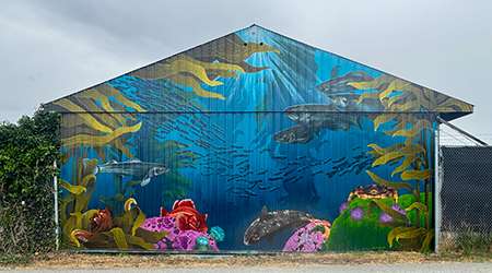 View of the community mural, The Great Kelp Forest by Aysha McConkey