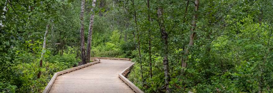 View of the boardwalk in Richmond Nature Park