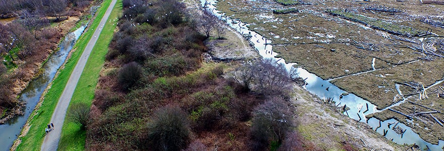 HB - Riparian area