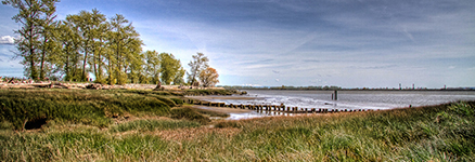 south dyke panorama