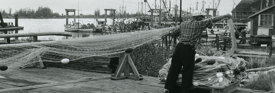 Steveston Harbour Fishing Nets