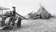 Threshing at Woodward's Landing